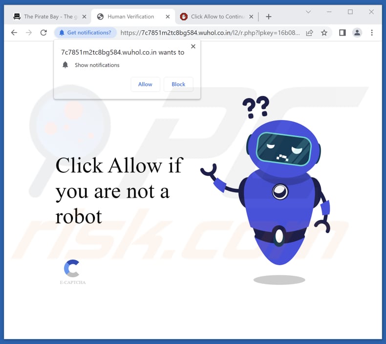 wuhol.co[.]in ads
