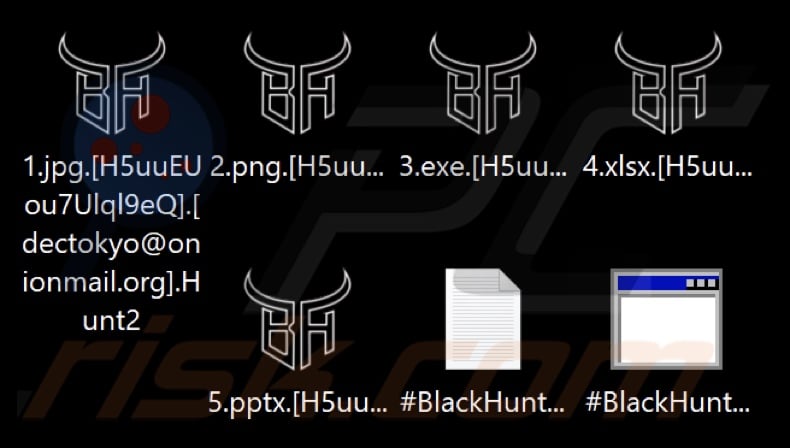 Files encrypted by Black Hunt 2.0 ransomware (.Hunt2 extension)