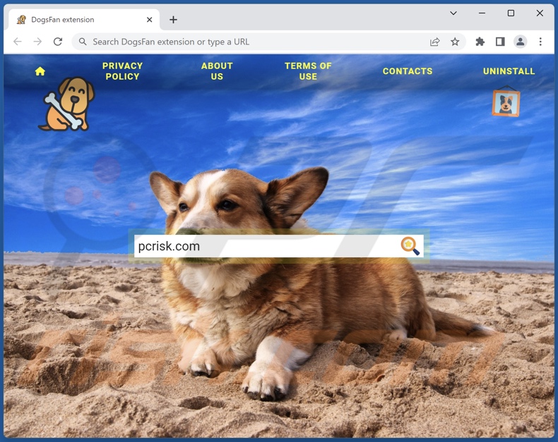 goog.dogsfanext.com browser hijacker