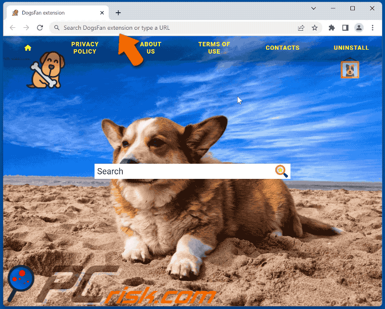 DogsFan extension browser hijacker redirecting to Bing (GIF)