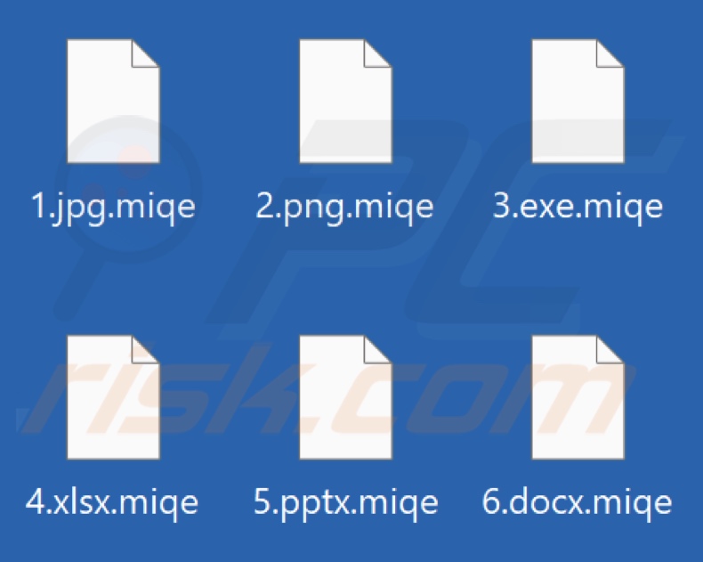 Files encrypted by Miqe ransomware (.miqe extension)