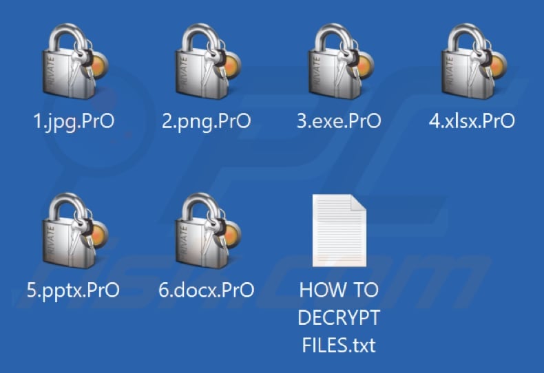 Files encrypted by PrO ransomware (.PrO extension)