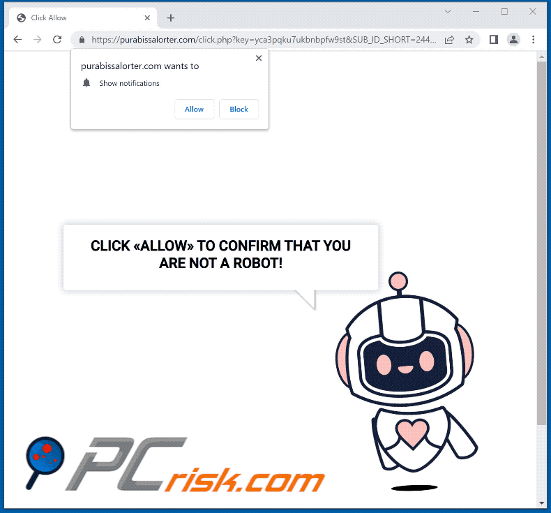 purabissalorter[.]com website appearance (GIF)