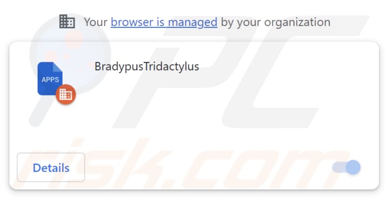 BradypusTridactylus malicious app