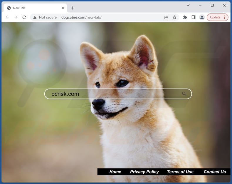 dogcuties.com browser hijacker