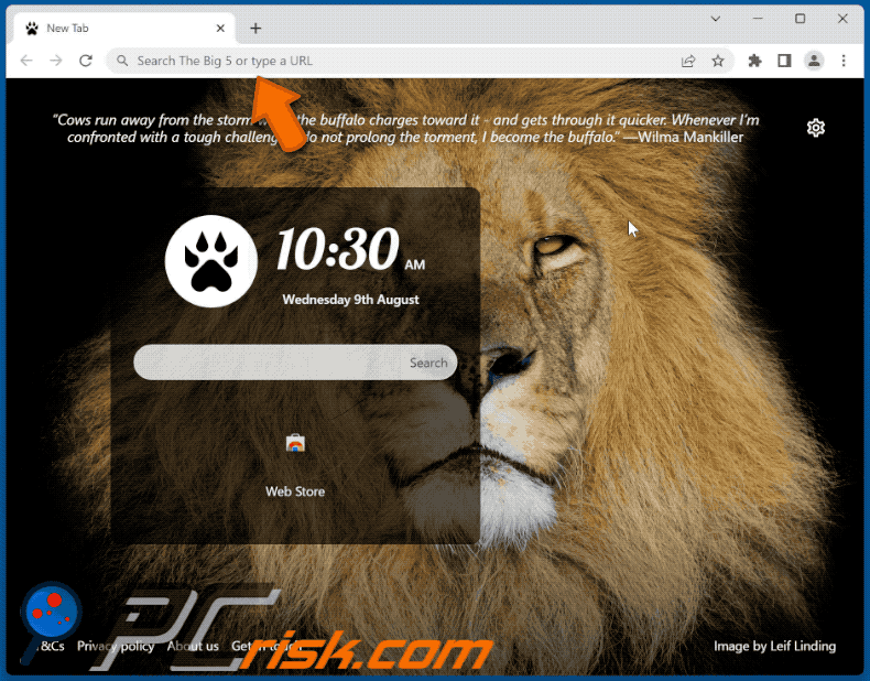 The Big 5 browser hijacker redirecting to Bing (GIF)