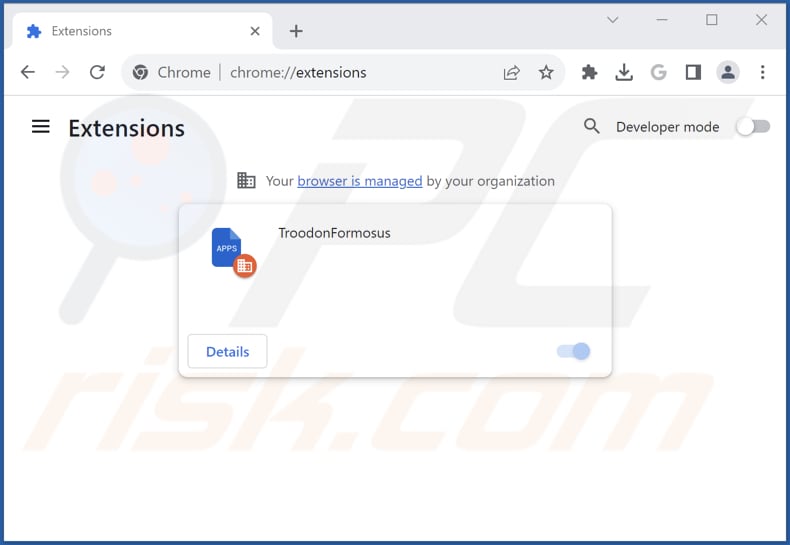 Removing TroodonFormosus unwanted app from Google Chrome step 2