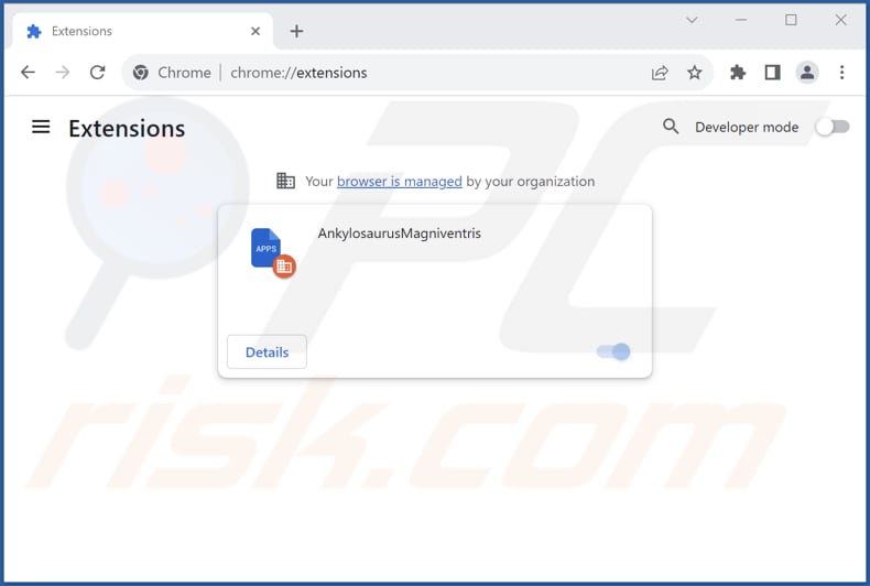 Removing AnkylosaurusMagniventris malicious extension from Google Chrome step 2