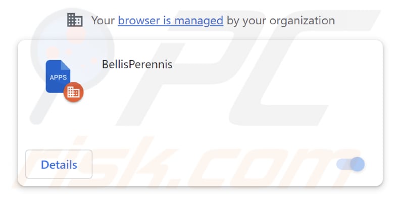 BellisPerennis malicious application