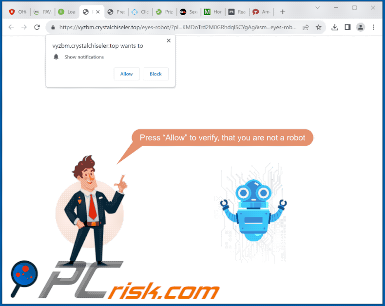 crystalchiseler[.]top website appearance (GIF)