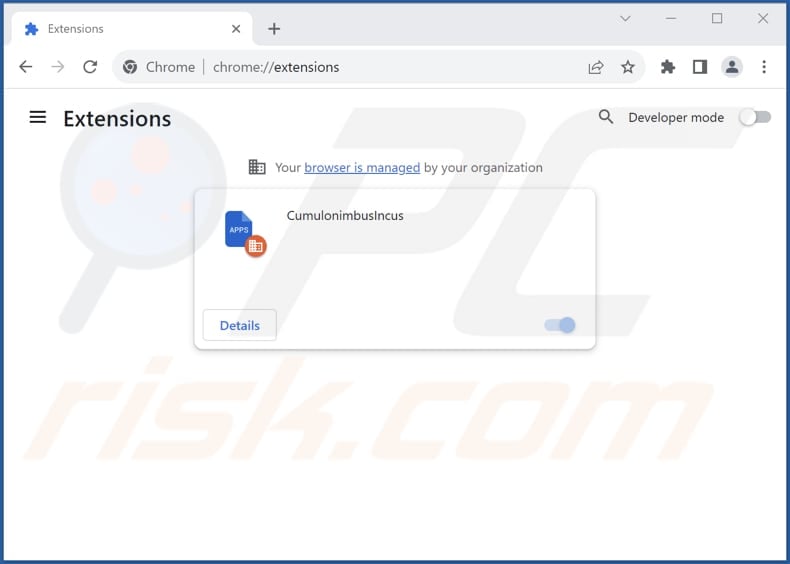 Removing CumulonimbusIncus malicious extension from Google Chrome step 2