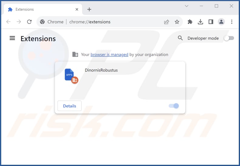 Removing DinornisRobustus malicious extension from Google Chrome step 2