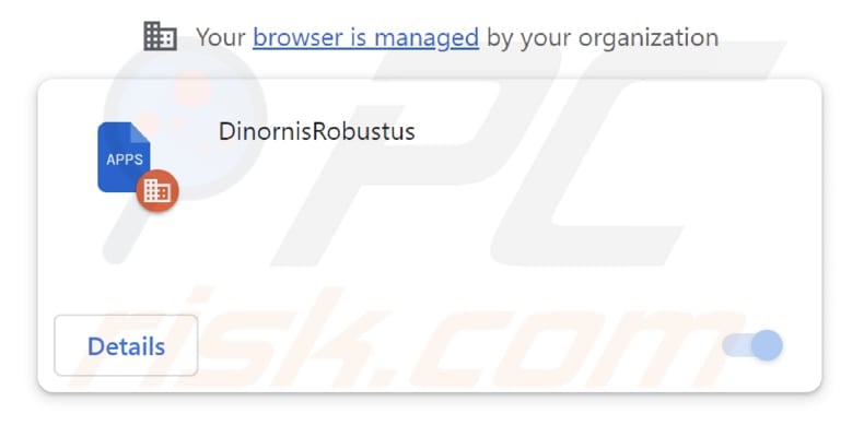 DinornisRobustus malicious extension
