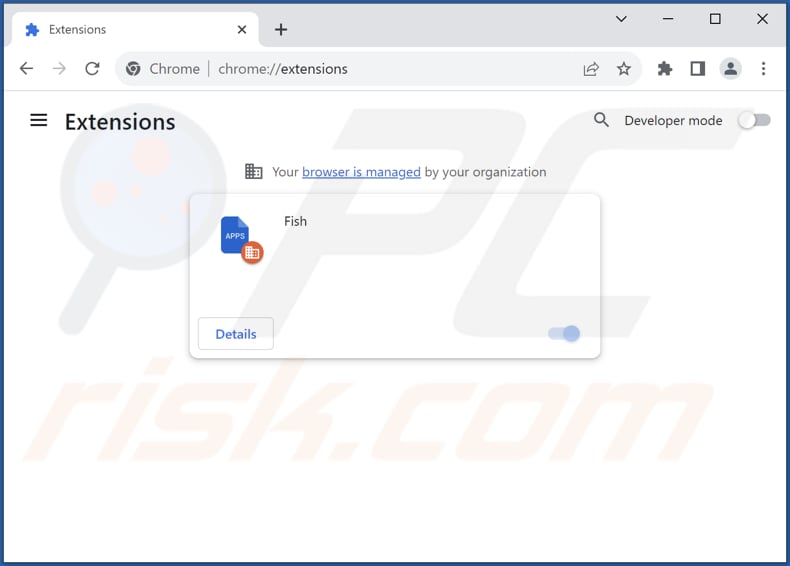 Removing Fish extension from Google Chrome step 2