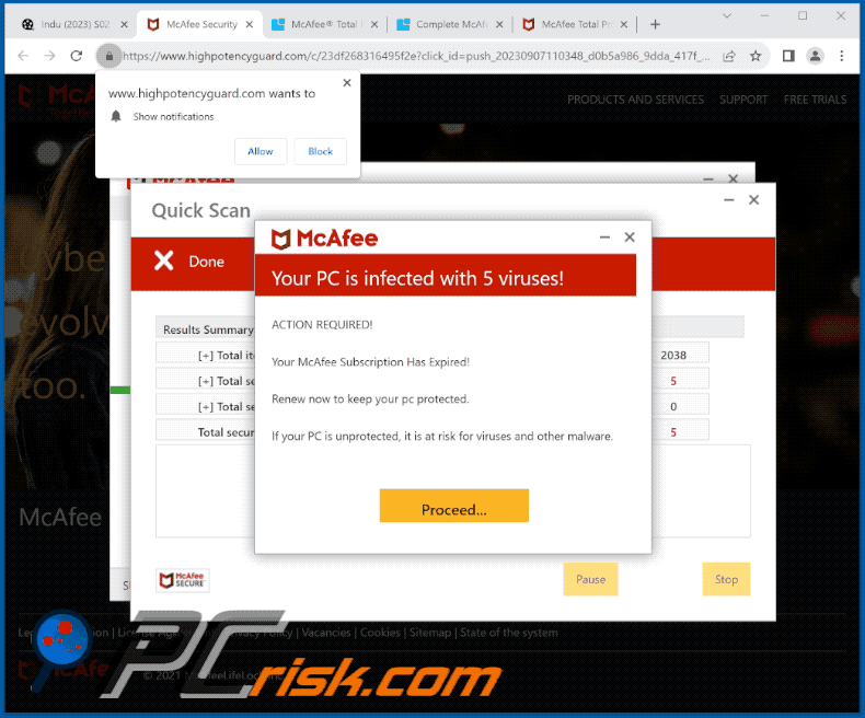 highpotencyguard[.]com website appearance (GIF)