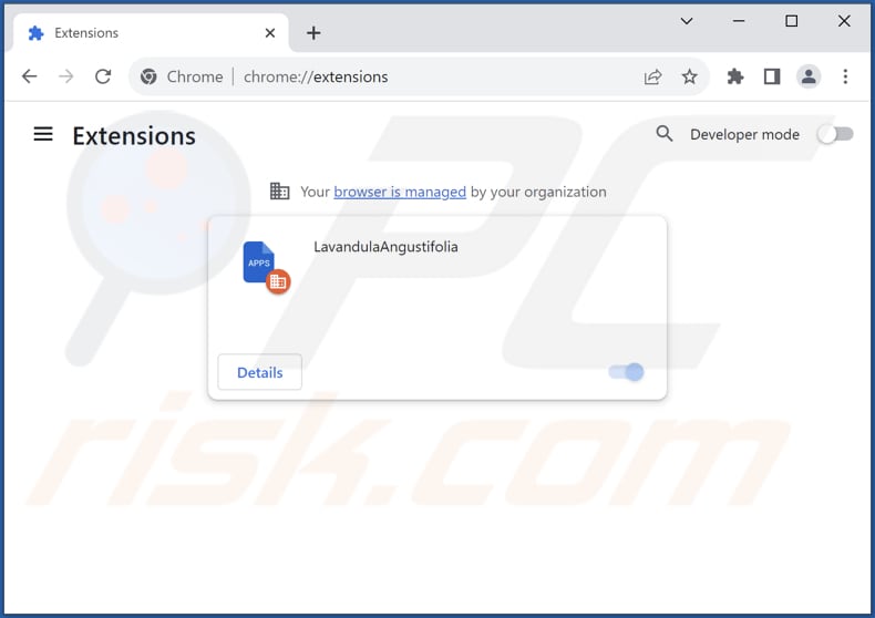 Removing LavandulaAngustifolia unwanted app from Google Chrome step 2