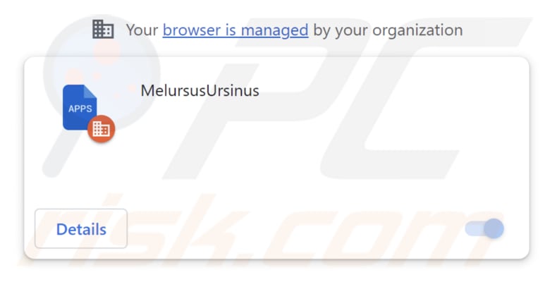 MelursusUrsinus malicious extension