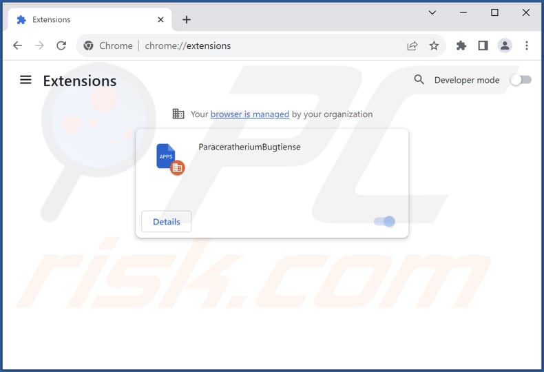 Removing ParaceratheriumBugtiense ads from Google Chrome step 2