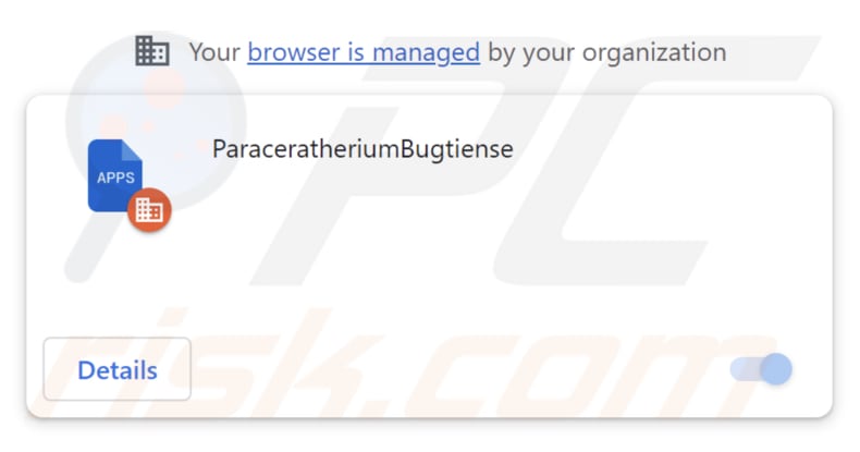 ParaceratheriumBugtiense unwanted application