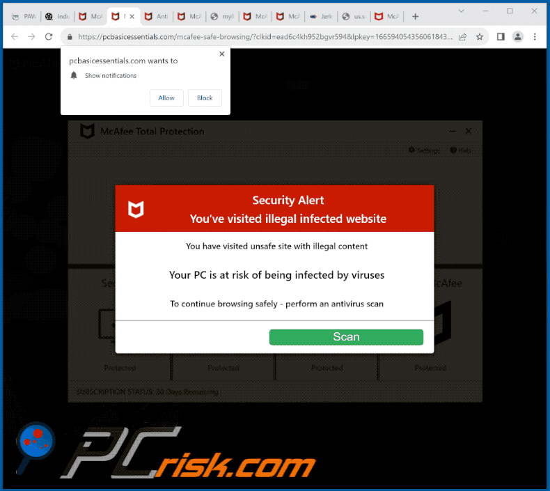 pcbasicessentials[.]com website appearance (GIF)