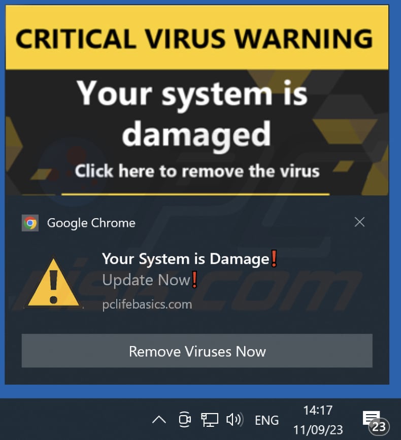 pcbasicessentials.com shady notification