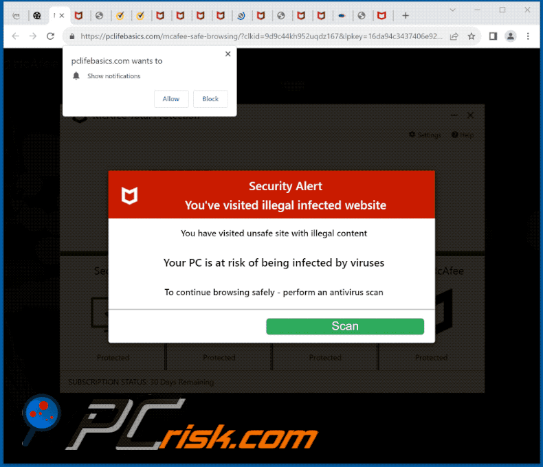 pclifebasics[.]com website appearance (GIF)