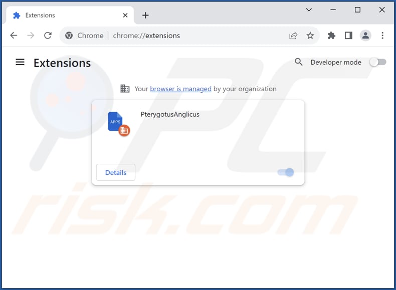 Removing PterygotusAnglicus malicious extension from Google Chrome step 2