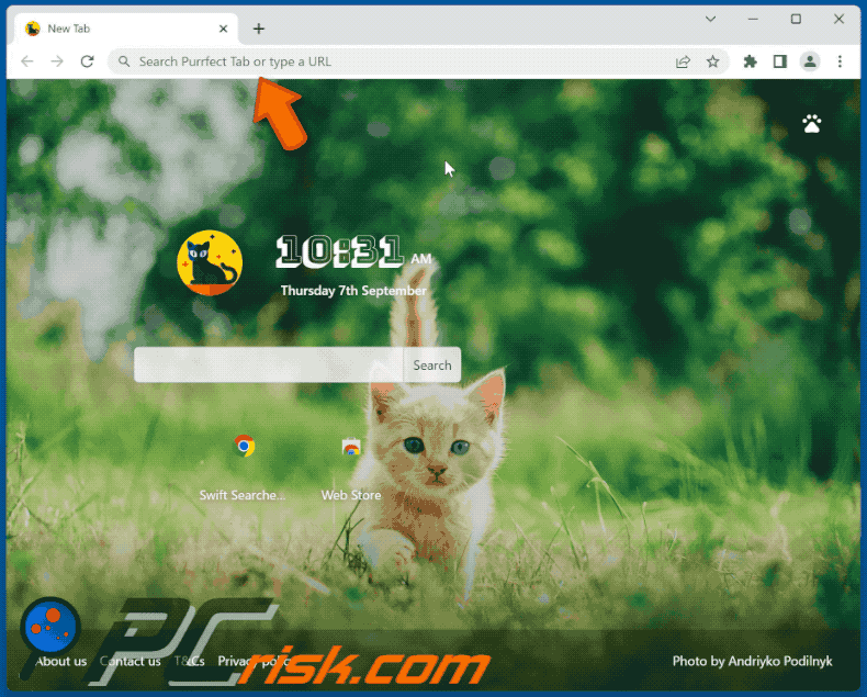 Purrfect Tab browser hijacker redirecting to Bing (GIF)