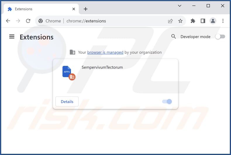 Removing SempervivumTectorum malicious extension from Google Chrome step 2