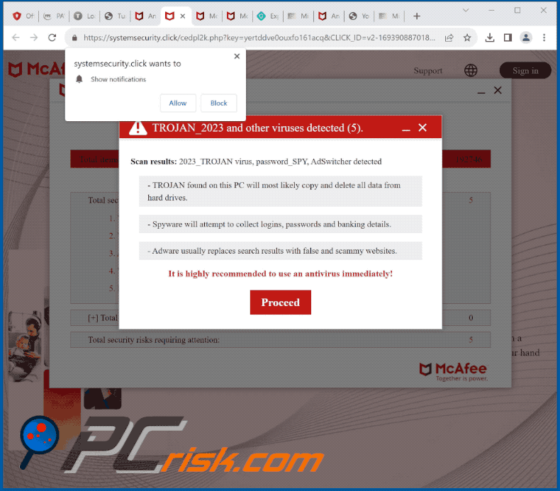 systemsecurity[.]click website appearance (GIF)