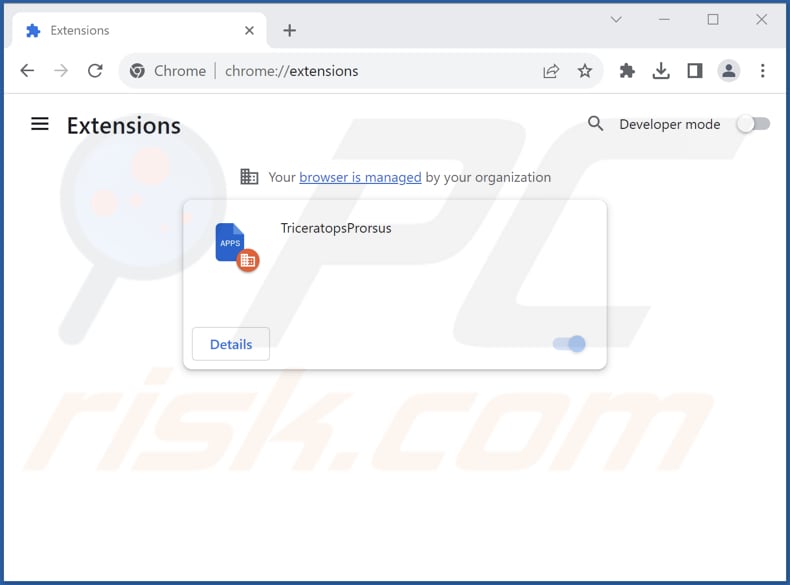Removing TriceratopsProrsus malicious extension from Google Chrome step 2
