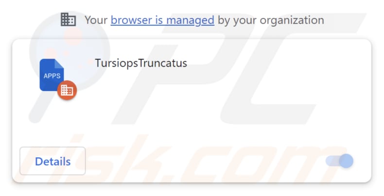 TursiopsTruncatus malicious extension