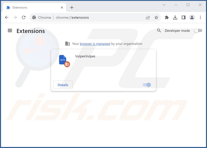 Removing VulpesVulpes malicious extension from Google Chrome step 2