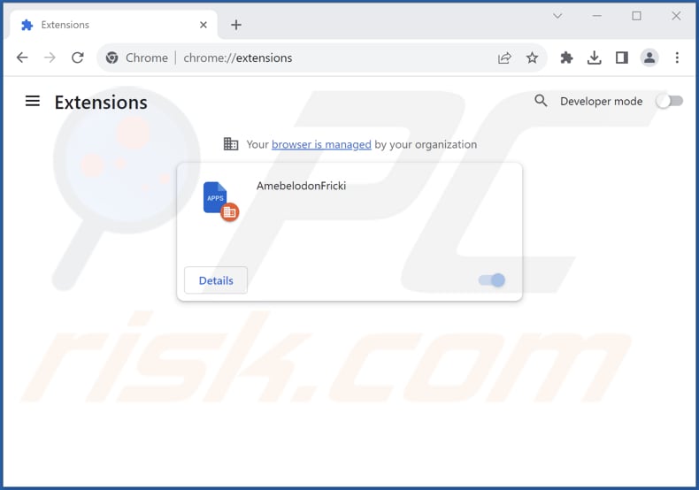 Removing AmebelodonFricki malicious extension from Google Chrome step 2