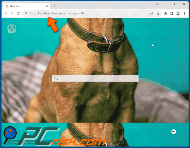 Best Friend Backgrounds browser hijacker redirect appearance (GIF)
