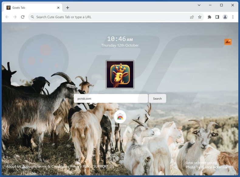 track.clickcrystal.com browser hijacker