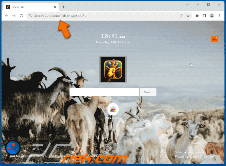 Cute Goats Tab browser hijacker track.clickcrystal.com redirects to google.com