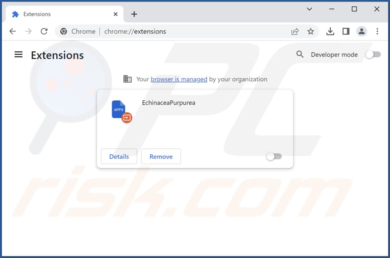 Removing EchinaceaPurpurea malicious app from Google Chrome step 2