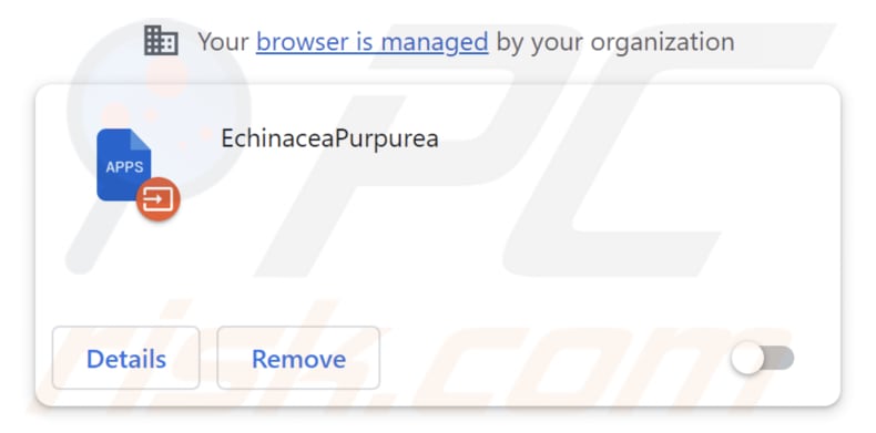 EchinaceaPurpurea malicious extension