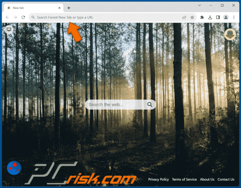 Forest New Tab browser hijacker redirecting to Bing (GIF)