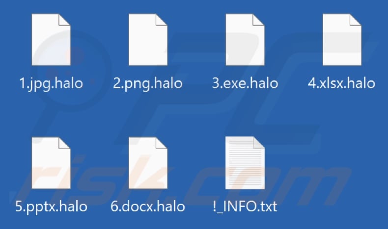 Files encrypted by Halo ransomware (.halo extension)