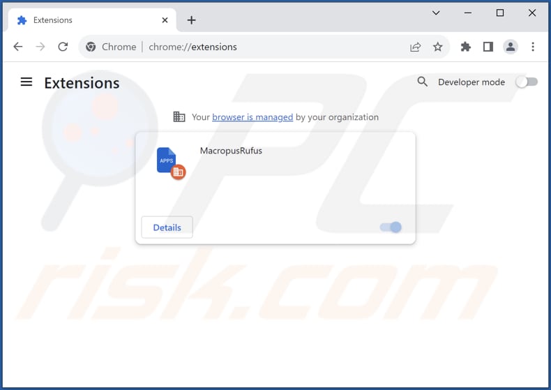 Removing MacropusRufus malicious extension from Google Chrome step 2