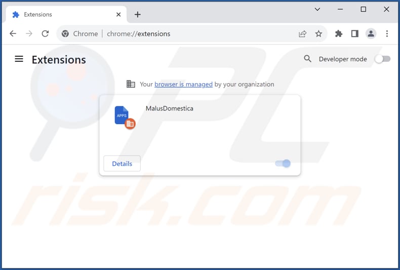 Removing MalusDomestica malicious extension from Google Chrome step 2