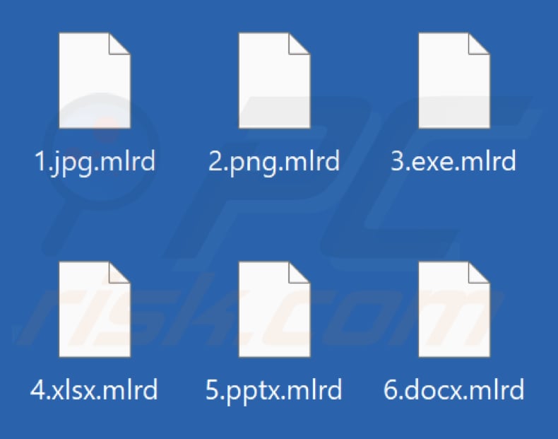 Files encrypted by Mlrd ransomware (.mlrd extension)