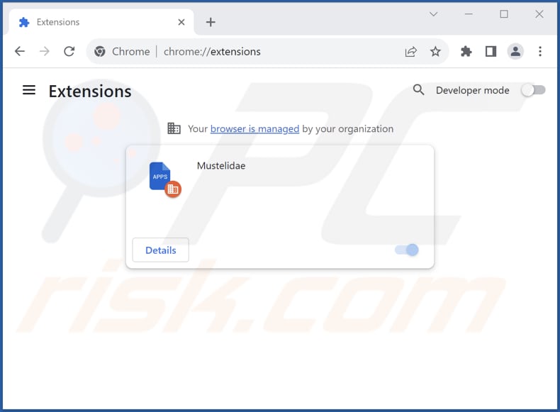 Removing Mustelidae malicious extension from Google Chrome step 2