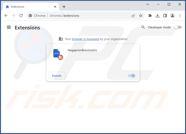 Removing NegaprionBrevirostris malicious extension from Google Chrome step 2