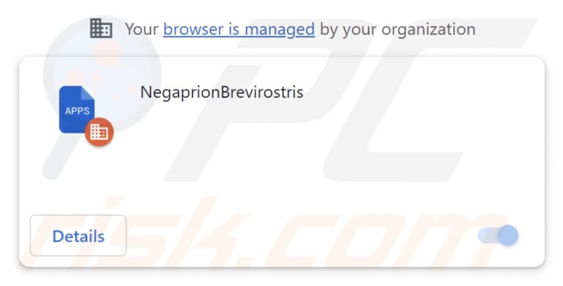 NegaprionBrevirostris malicious extension