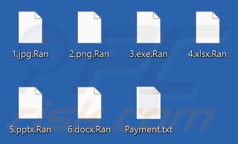Files encrypted by Ran ransomware (.Ran extension)