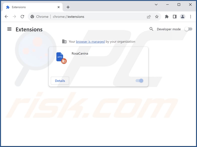 Removing RosaCanina malicious extension from Google Chrome step 2