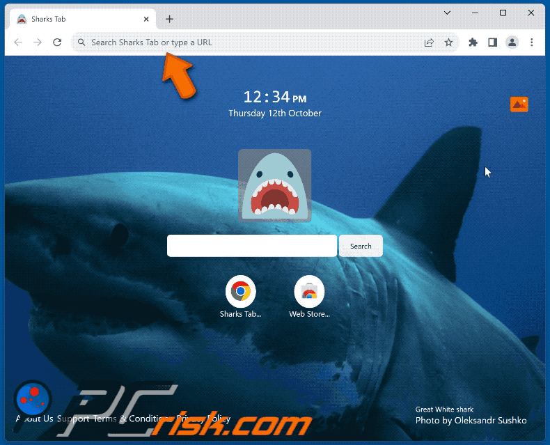 Sharks Tab browser hijacker redirecting to Bing (GIF)